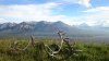 upload_2022-6-3_23-18-51.jpeg
