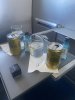 IMG_2221.jpeg