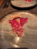 IMG_6745.jpeg