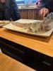 IMG_6757.jpeg