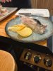 IMG_6758.jpeg