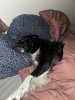 IMG_4250.jpeg