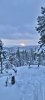 20231225_123144.jpg