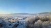 PXL_20240108_122149306.MP.jpg
