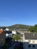 IMG_4944.jpeg