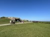 IMG_8044.jpeg