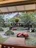 IMG_5139.jpeg