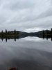 IMG_1536.jpeg