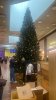 85F09173-81E3-44DD-9565-E56CBE2B67FE.jpeg