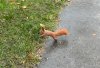 IMG_7214.jpeg