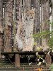 IMG_7222.jpeg