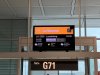 IMG_7297.jpeg