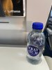 IMG_7303.jpeg