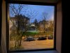 IMG_7323.jpeg