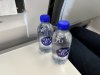 IMG_7391.jpeg