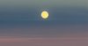 IMG_7477.jpeg