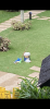 IMG_7264.png