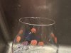 IMG_2860.jpeg
