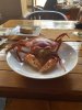 IMG_3269.jpeg