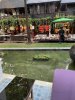 IMG_3772.jpeg