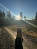 IMG_2016.jpeg