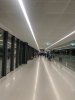 IMG_8134.jpeg