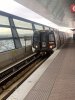 IMG_8158.jpeg