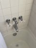 IMG_8172.jpeg