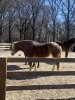IMG_8181.jpeg
