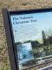 IMG_8204.jpeg