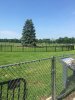 IMG_1699.jpeg