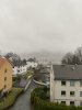 IMG_8265.jpeg