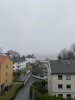 IMG_8280.jpeg