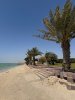 IMG_6429.jpeg