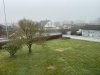 IMG_4401.jpeg