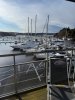IMG_7544.jpeg
