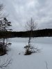 IMG_9324.jpeg