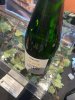 IMG_2417.jpeg