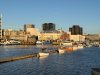 IMG_7631.jpeg