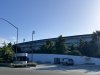 IMG_5964.jpeg