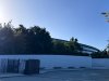 IMG_5962.jpeg
