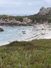 IMG_5984.jpeg