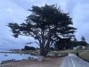 IMG_5979.jpeg