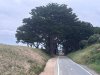 IMG_5980.jpeg