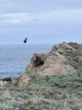 IMG_6018.jpeg