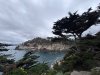 IMG_6014.jpeg