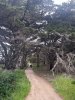IMG_5996.jpeg