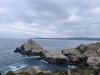 IMG_6005.jpeg