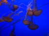 IMG_6046.jpeg