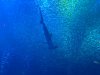 IMG_6061.jpeg